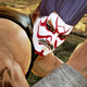 Screenshot: Tekken 7